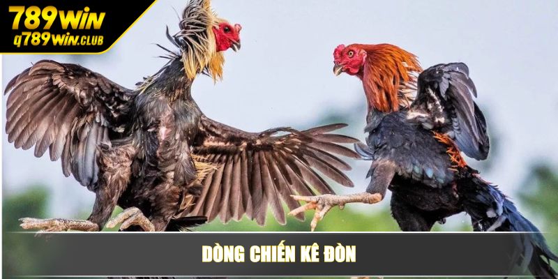 Dòng chiến kê đòn