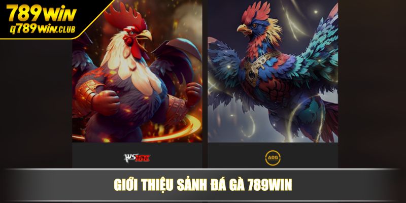 Giới thiệu sảnh đá gà 789WIN