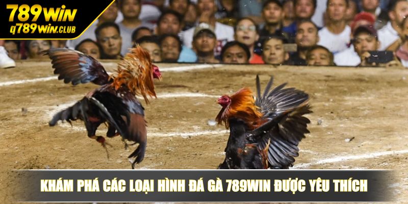 Khám phá các loại hình đá gà 789WIN được yêu thích