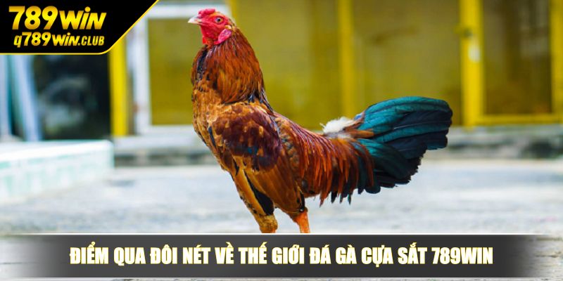 Điểm qua đôi nét về thế giới đá gà cựa sắt 789WIN