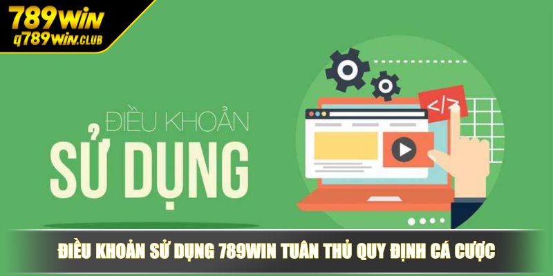 Điều khoản sử dụng 789WIN tuân thủ quy định cá cược