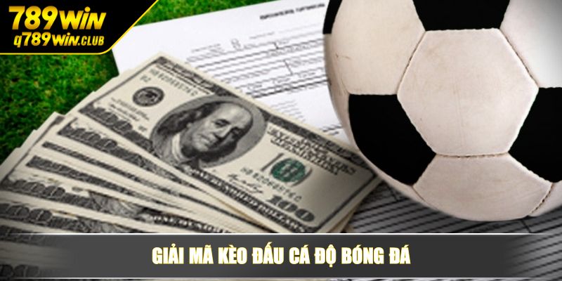 Giải mã kèo đấu cá độ bóng đá