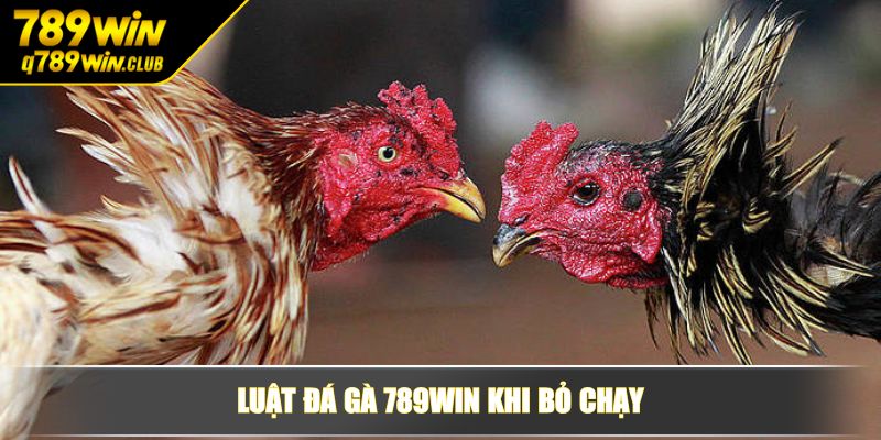 Luật đá gà 789WIN khi bỏ chạy