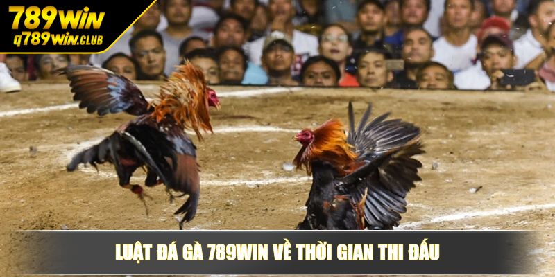 Luật đá gà 789WIN về thời gian thi đấu