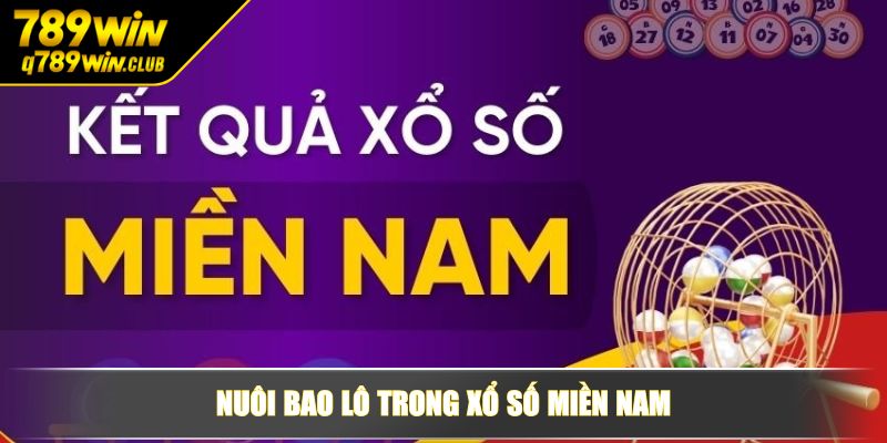 Nuôi bao lô trong xổ số miền Nam