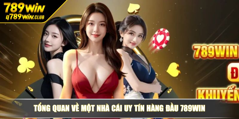 Tổng quan về một nhà cái uy tín hàng đầu 789WIN